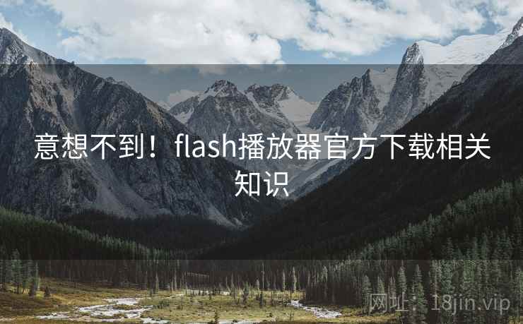 意想不到！flash播放器官方下载相关知识  第2张