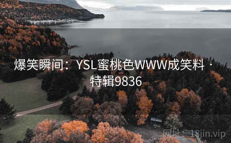 爆笑瞬间：YSL蜜桃色WWW成笑料 · 特辑9836  第2张